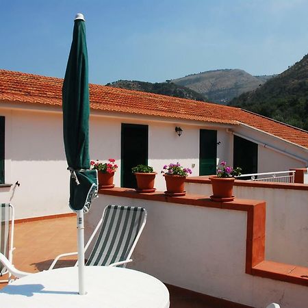 Azienda Agricola Veniero Piano di Sorrento Eksteriør billede
