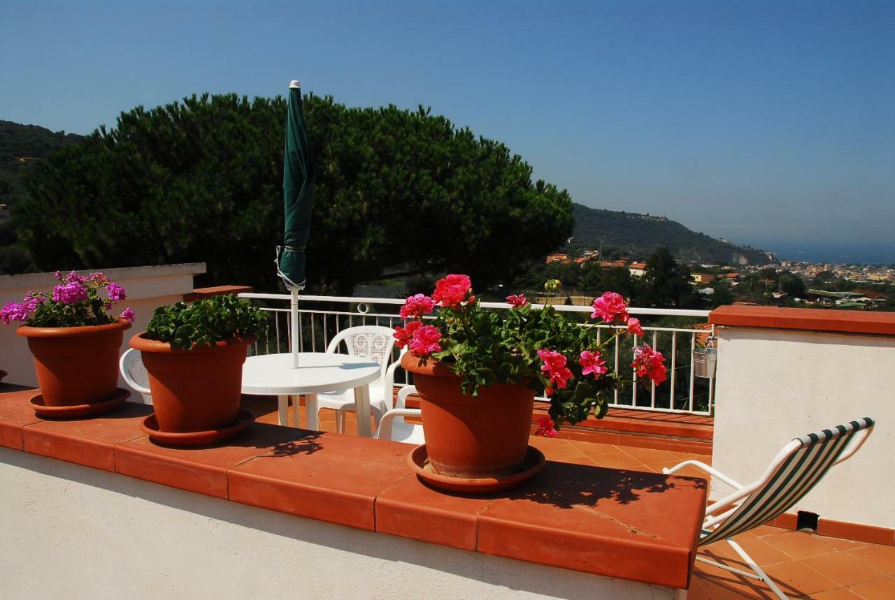 Azienda Agricola Veniero Piano di Sorrento Eksteriør billede