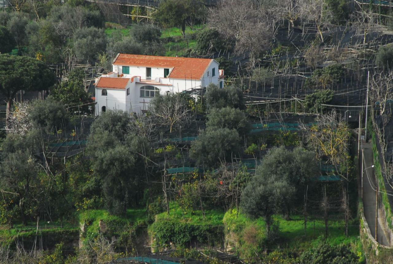 Azienda Agricola Veniero Piano di Sorrento Eksteriør billede