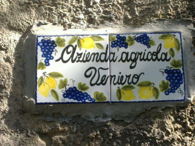 Azienda Agricola Veniero Piano di Sorrento Eksteriør billede